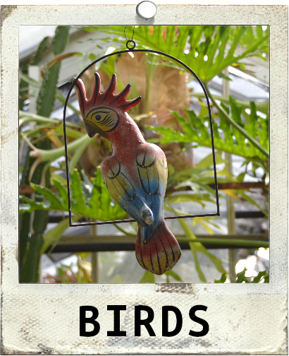 Birds Polaroid