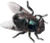 Fly GIF