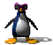 Penguin GIF