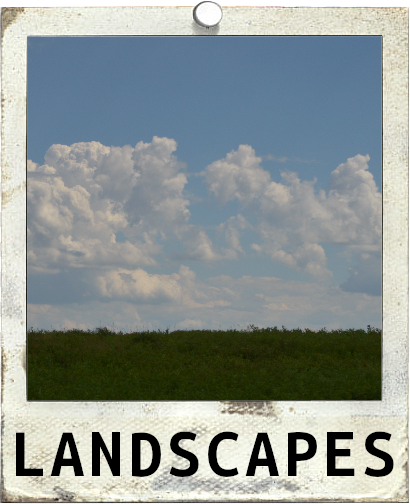 Landscapes Polaroid