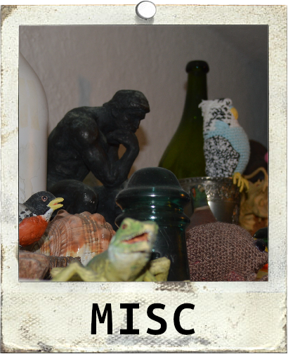 Misc Polaroid